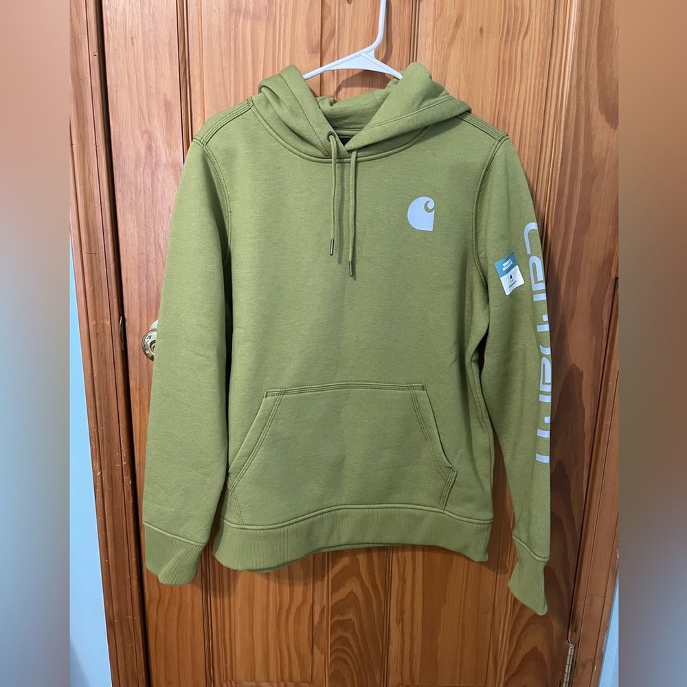 Carhartt Clarksburg Graphic sleeve sweatshirt hoodie